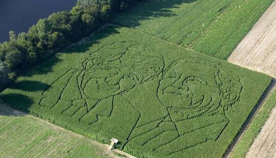 2004 Maze - The Candidates in Corn